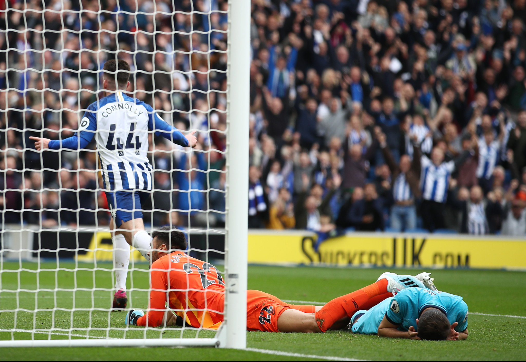 引领年轻球 引领年轻球